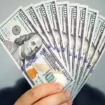 سعر الدولار اليوم في مصر يبقى مستقراً ضمن نطاق البنوك الحكومية